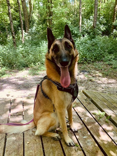 L.Joy&Dog, Pension pour Chiens à Saint-Quentin-le-Petit