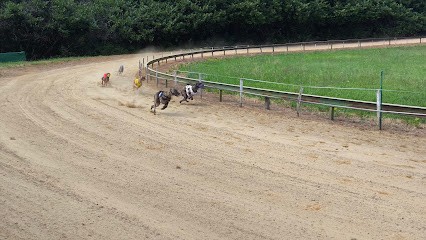 cynodrome du caillevat, Eleveur de Chiens à Saint-Denis-de-Pile