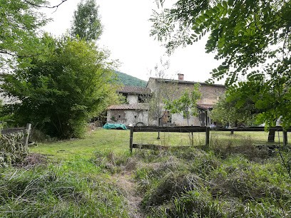 BOXER DES RADICALS DOGS, Eleveur de Chiens à Payssous