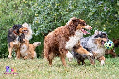 Normandy Animo, Pension pour Chiens à Saint-Germain-la-Campagne