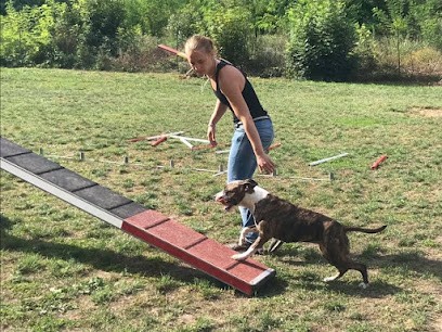 Élevage Canin Psyche Destiny, Eleveur de Chiens à Vielverge