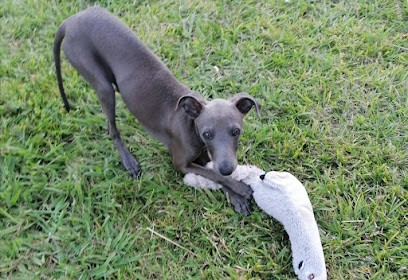 La clé aux loups, Eleveur de Chiens à Auriol