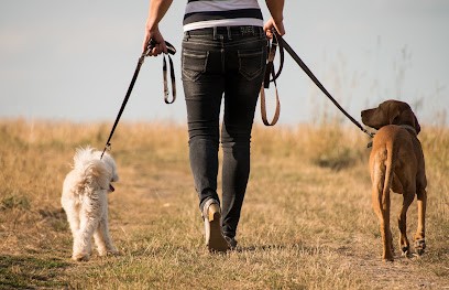 Isis Educ Pro - Educateur comportementaliste canin, Dresseur de Chiens à Saint-Cyr-sur-Morin