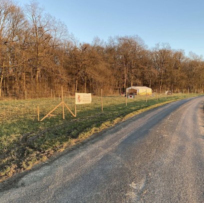 Lorem Animalis/L’univers canin 55 - Centre D'Education Et de Comportement Canin, Dresseur de Chiens à Osches