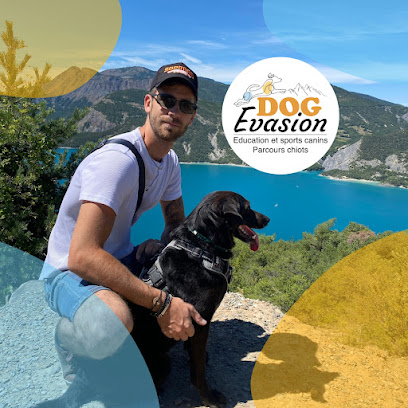 Dog Evasion 05, Dresseur De Chiens à Théus