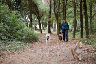 Educateur Canin & Comportementaliste Canin - Laura Tous En Vadrouille - Sainte Pazanne Et Bouguenais (44) Dresseur De Chiens à Sainte-Pazanne