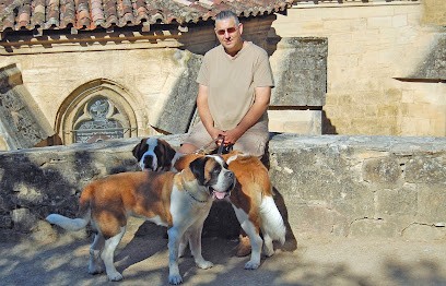 Joel Chevillard Educateur Comportementaliste Canin Certifié, Dresseur de Chiens à Saint Pathus