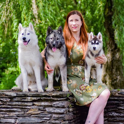 Who play with Moonlight, Eleveur de Chiens à Marcilly-en-Gault