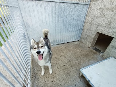 Pension de Bonavis, Pension pour Chiens aux Rues-des-Vignes