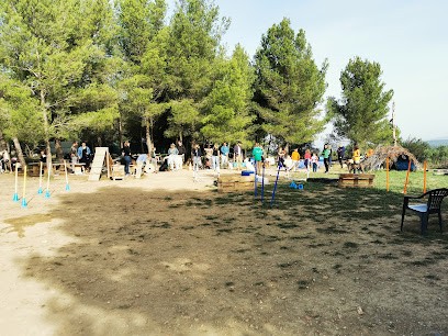 Éducateur Canin Le Champ Des Chiens, Dresseur de Chiens à Velleron