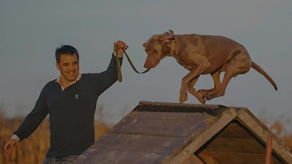 CENTRE CANIN DES PLAINES AGENAISES, Eleveur de Chiens à Sauveterre-Saint-Denis