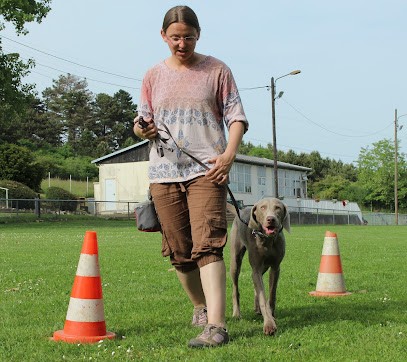 L'Essentiel Canin, Dresseur de Chiens à Torcy-et-Pouligny