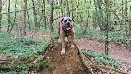 La Pension Du Colombier, Pension pour Chiens à Blacqueville