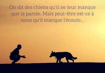 L'Amie Cahouette, Dresseur de Chiens à Saint-Agnant