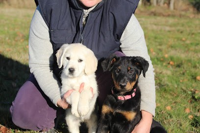 Elevage Des Ames Soeurs, Eleveur de Chiens à Saint-Julien-de-l'Herms