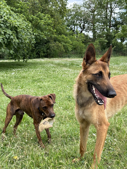 Le Domaine D'orphée, Pension Pour Chien à Souprosse