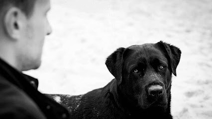 Harmonie Canine, Pension pour Chiens à Benquet