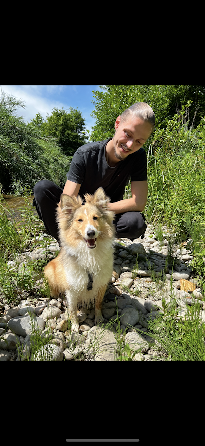 À Pattes Égales Dresseur De Chiens à Cagnes-sur-Mer