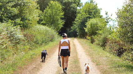 Pet's Heaven - Éducateur Comportementaliste Canin Rennes, Dresseur De Chiens à Chartres-de-Bretagne