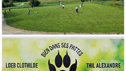 Well Dans Ses, Dresseur de Chiens à Moncetz-l'Abbaye