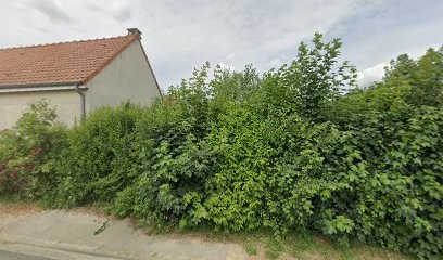 L'Élevage l'Étoile de Yoshi, Eleveur de Chiens à Boisdinghem