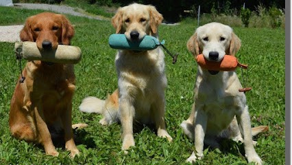 Elevage Et éducation Canine Ariège, Dresseur de Chiens à Sainte-Suzanne