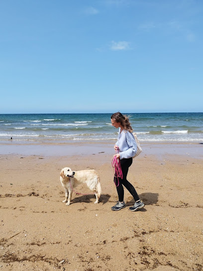 Au P'tit Bonheur La Truffe, Dresseur De Chiens à Luc-sur-Mer