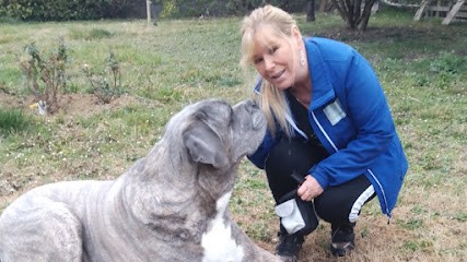 Comportementaliste Éducateur Canin spécialisée dans les mauvais comportements du chien, plus de 8 ans d'expériences., Dresseur de Chiens à Rousson