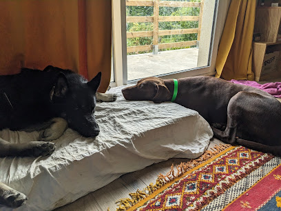 L'esprit Libre , La Truffe Au Vent, Pension Pour Chien à Bonneuil-en-Valois