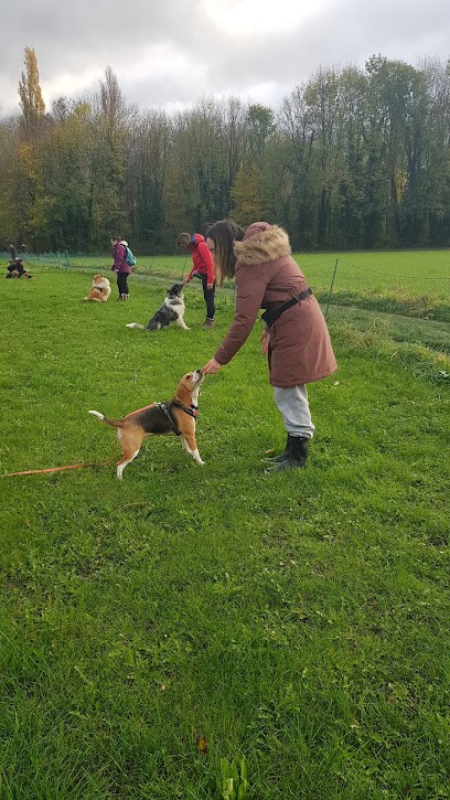 Club Canin Sous le Massif Vercusien, Dresseur de Chiens à Veurey-Voroize