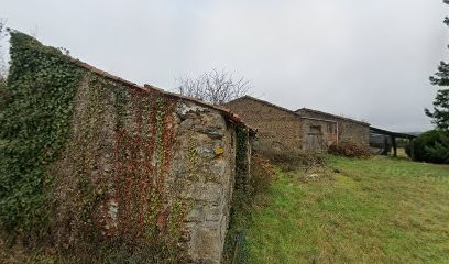 Dog's Revival, Dresseur de Chiens à Montournais