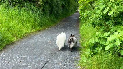 Quat'Pattes - Éducation Canine Nord, Comportementaliste Lille, Pévèle Et Région Hainaut, Promenade De Chien, Dressage.., Dresseur de Chiens à Wannehain