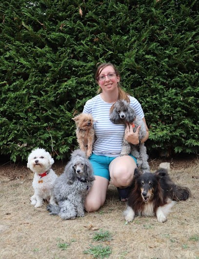 APi - Animal Passion & Cie, Dresseur de Chiens à Villeneuve Le Roi