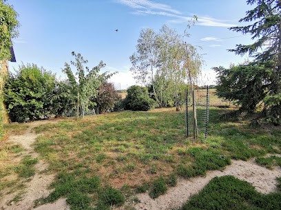 DES LOUPS DU VAL DE BRAYE, Pension pour Chiens à Savigny-sur-Braye