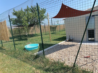 Aria & Co', Pension pour Chiens à Savigny-sous-Faye