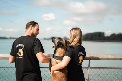 Caniserenity - Éducation Canine & Petsitting Est Lyonnais, Dresseur De Chiens à Meyzieu