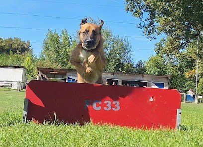 Flair et crocs 33, Dresseur de Chiens à Villenave-d'Ornon