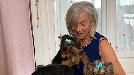 Elevage de Yorkshire LOF Du Moulin Des Puys, Eleveur de Chiens à Lansac