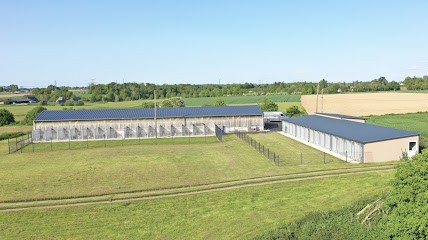 Pension Canine de la Mare de l'Oraille, Pension pour Chiens à Honguemare-Guenouville