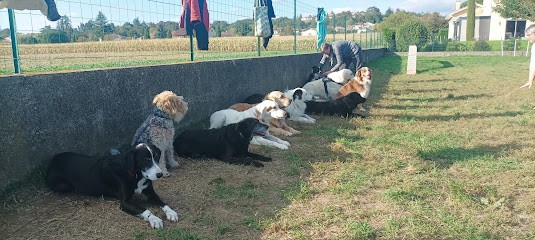 L'école D'Eurka, Dresseur de Chiens aux Côtes-d'Arey