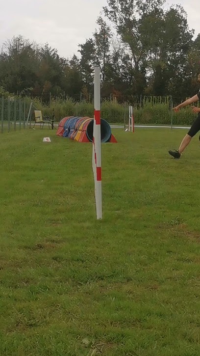 Ecole Canine Du Langonnais, Dresseur de Chiens à Saint-Pierre-de-Mons
