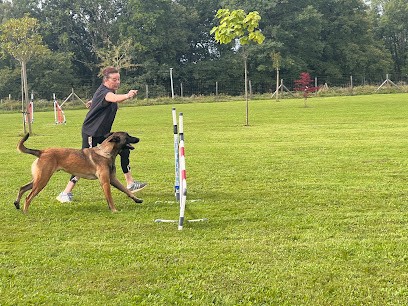 Domaine De Matepouilh : Pension - Éducation Canine, Dresseur de Chiens à Tournay