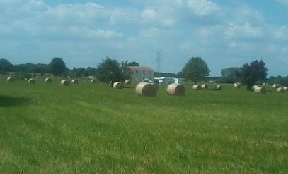 Elevage/Pension canine des Mille Fontaines, Eleveur de Chiens à Tesson