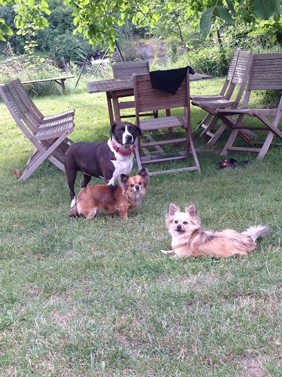 Tic & Tac, Pension pour Chiens à Colmar