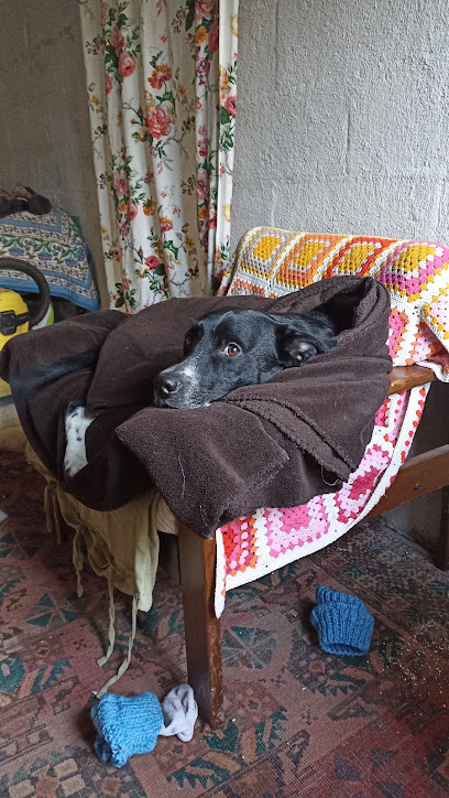 La Maison Douce, Pension Pour Chien à Anglars-Nozac