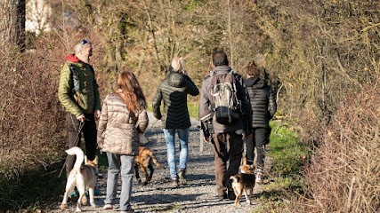 Pascal Rorato éducateur canin, comportementaliste chats et chiens, Dresseur de Chiens à Saint-Paul-de-Varces