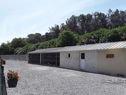 Pension Canine Et Elevage De Springer Spaniel De L'Echo Des Etangs 44, Pension pour Chiens à Sainte-Reine-de-Bretagne