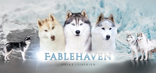 Fablehaven, élevage De Husky Sibérien, Eleveur de Chiens à Prayssac