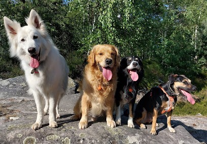 éduc'actions Canine, Dresseur de Chiens à Othis