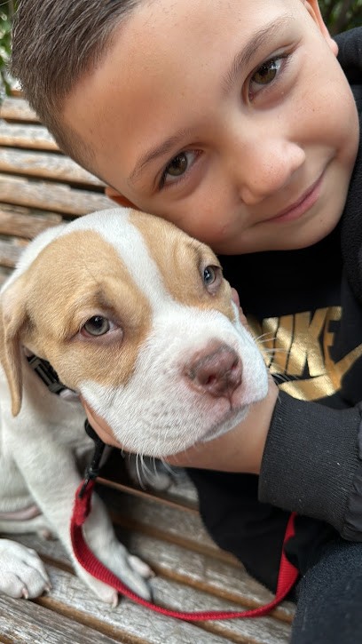 dog'n'tattoo, Eleveur de Chiens à Sacierges-Saint-Martin